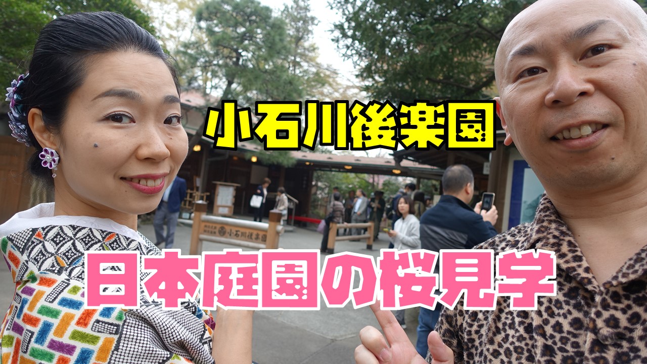 はとバス夜桜ツアー２ 小石川後楽園の桜を花見 みるみるランド