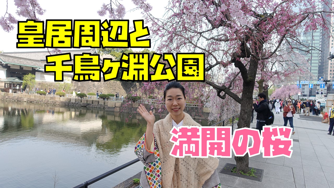 千鳥ヶ淵と皇居周辺の桜を花見しながらぶらり散歩 みるみるランド