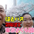 はとバスの２階建てオープンバスで東京都内の桜の名所を巡るツアー