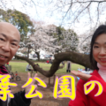 千葉公園は桜がきれいな名所！お花見散歩で千葉公園を散策♪